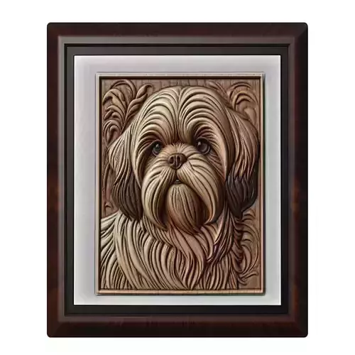 Dog Shih Tzu Animal