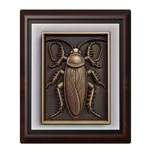 Cockroach Animal
