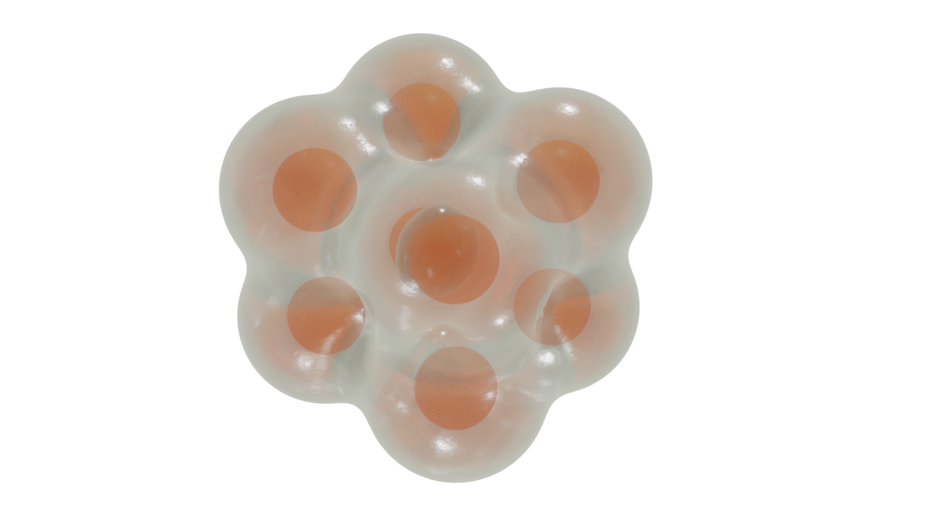 Stages of segmentation of a fertilized egg up to the gastrula 3D model_4