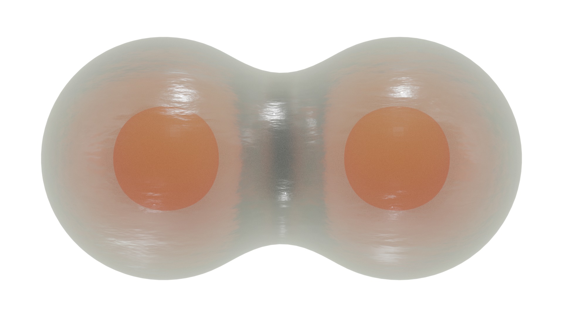 Stages of segmentation of a fertilized egg up to the gastrula 3D model_2