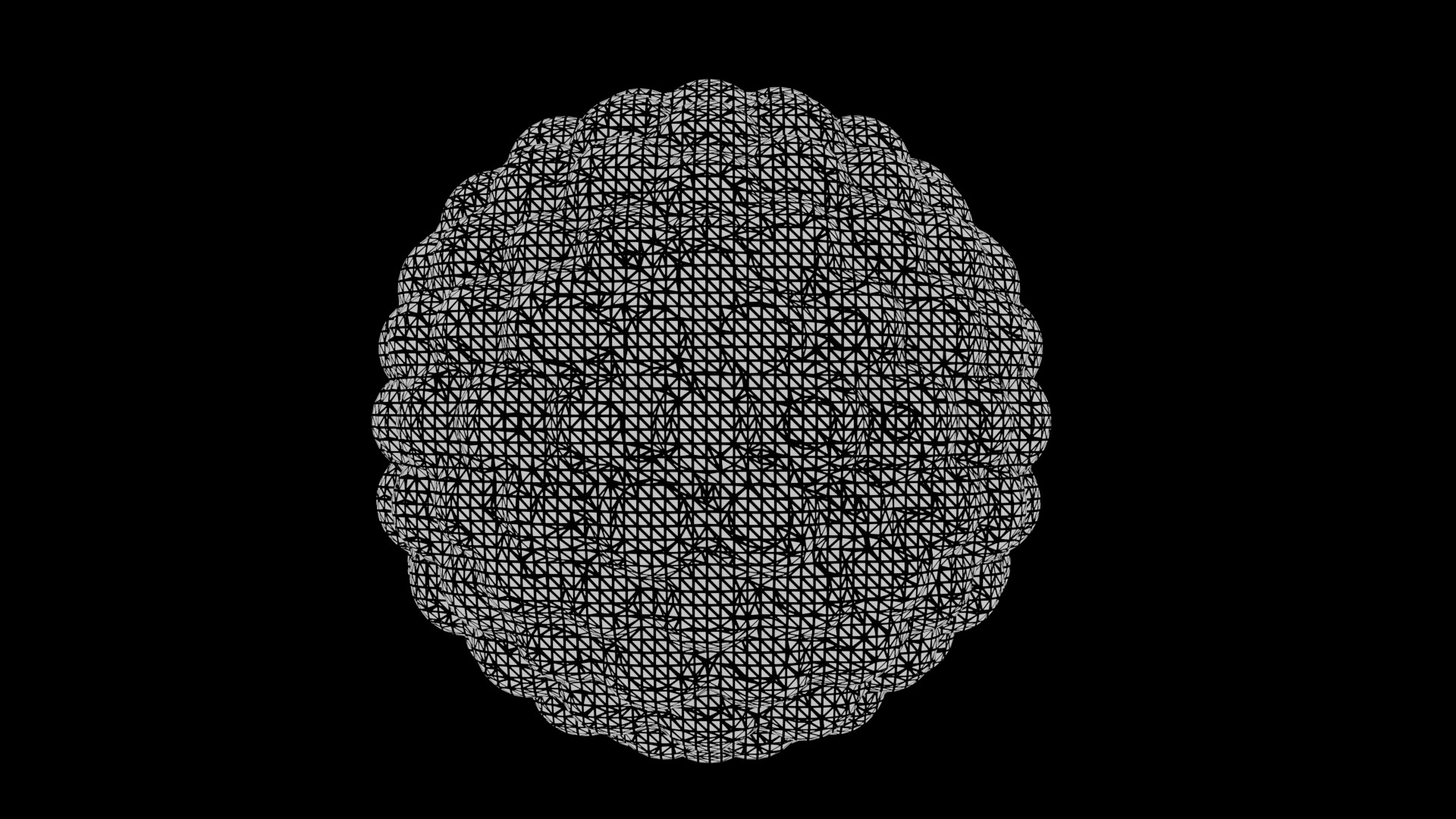 Stages of segmentation of a fertilized egg up to the gastrula 3D model_12