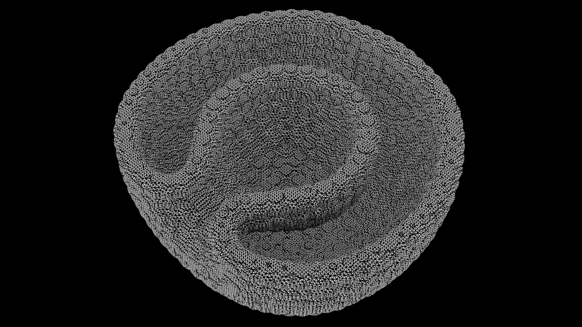 Stages of segmentation of a fertilized egg up to the gastrula 3D model_13