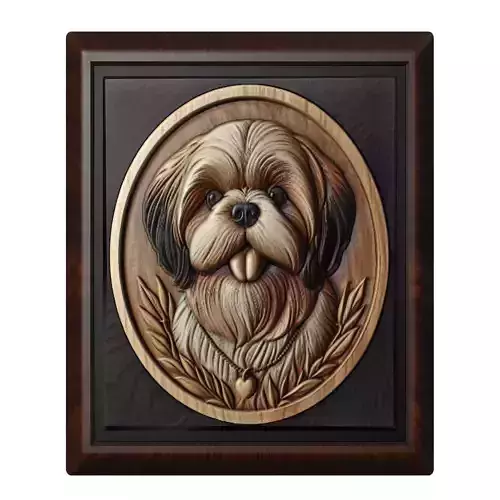 Dog Shih Tzu Animal
