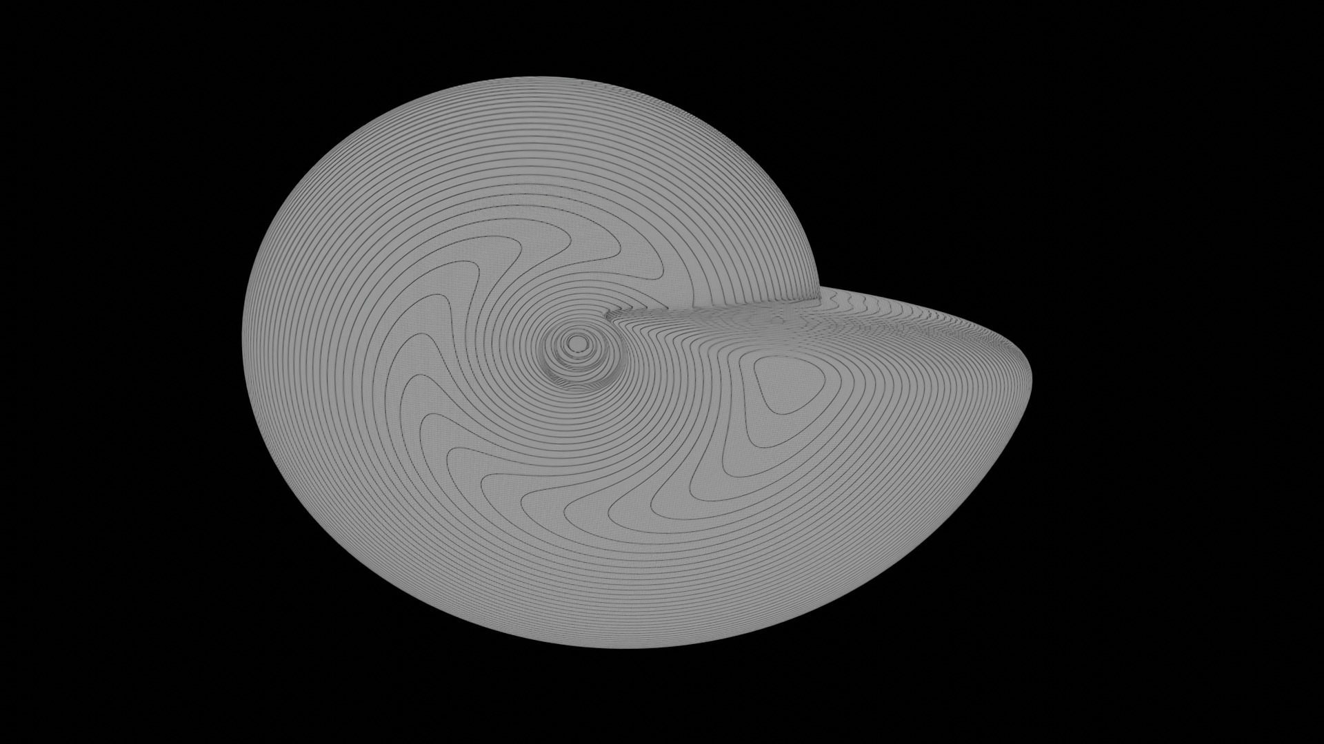 Ammonoid shell involute and compressed Metengonoceras 3D model_9