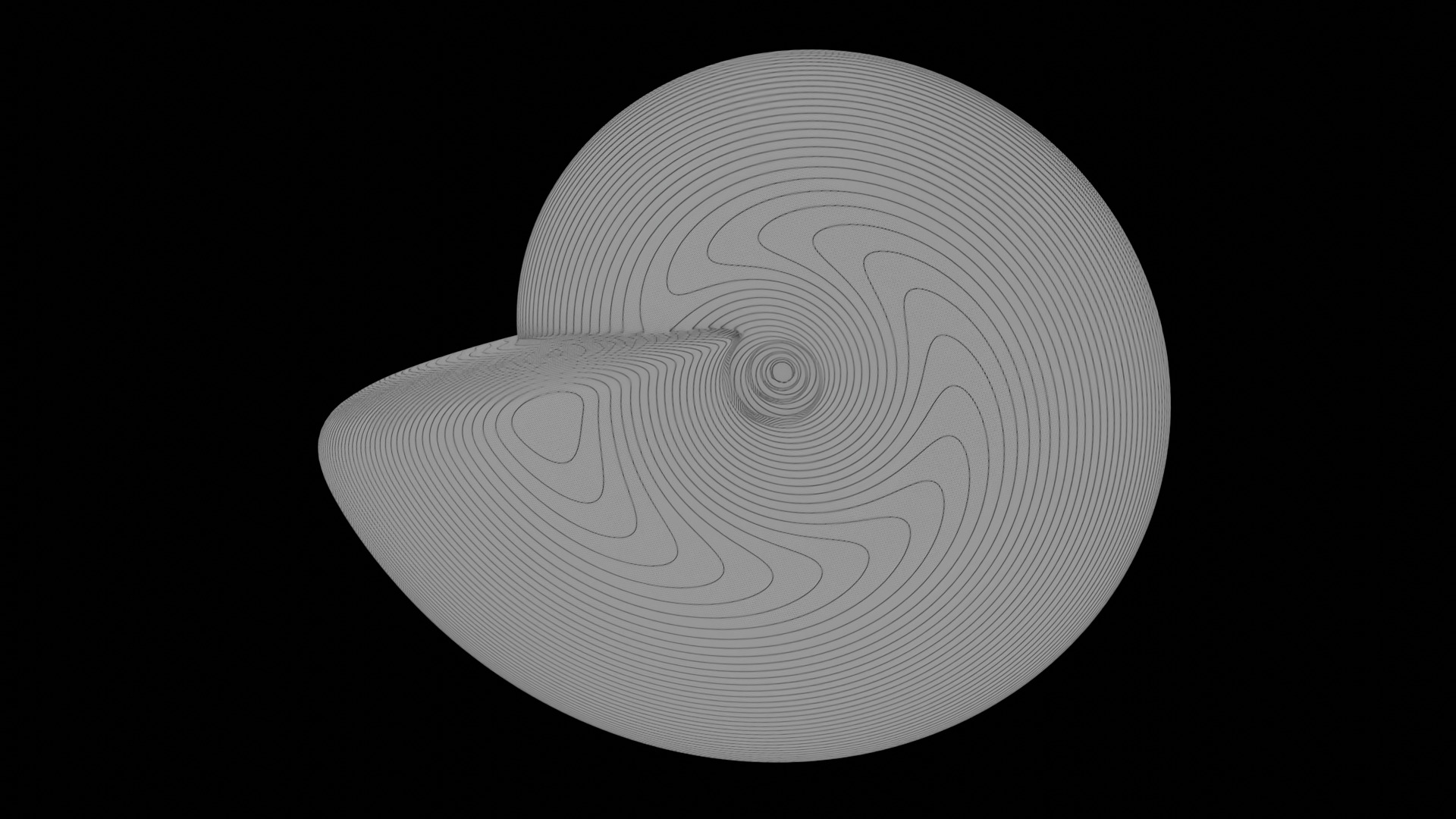 Ammonoid shell involute and compressed Metengonoceras 3D model_10