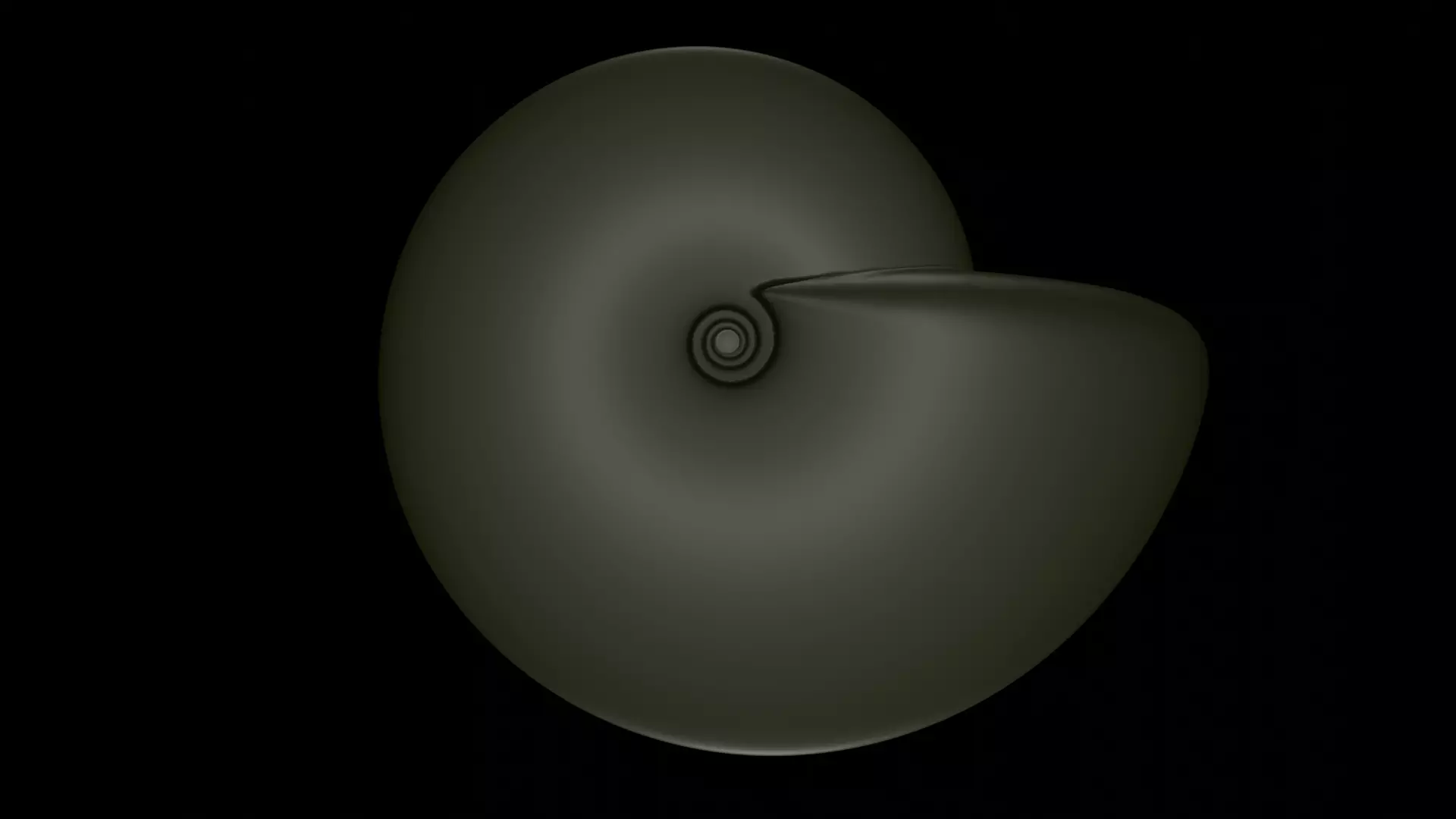 Ammonoid shell involute and compressed Metengonoceras 3D model_0