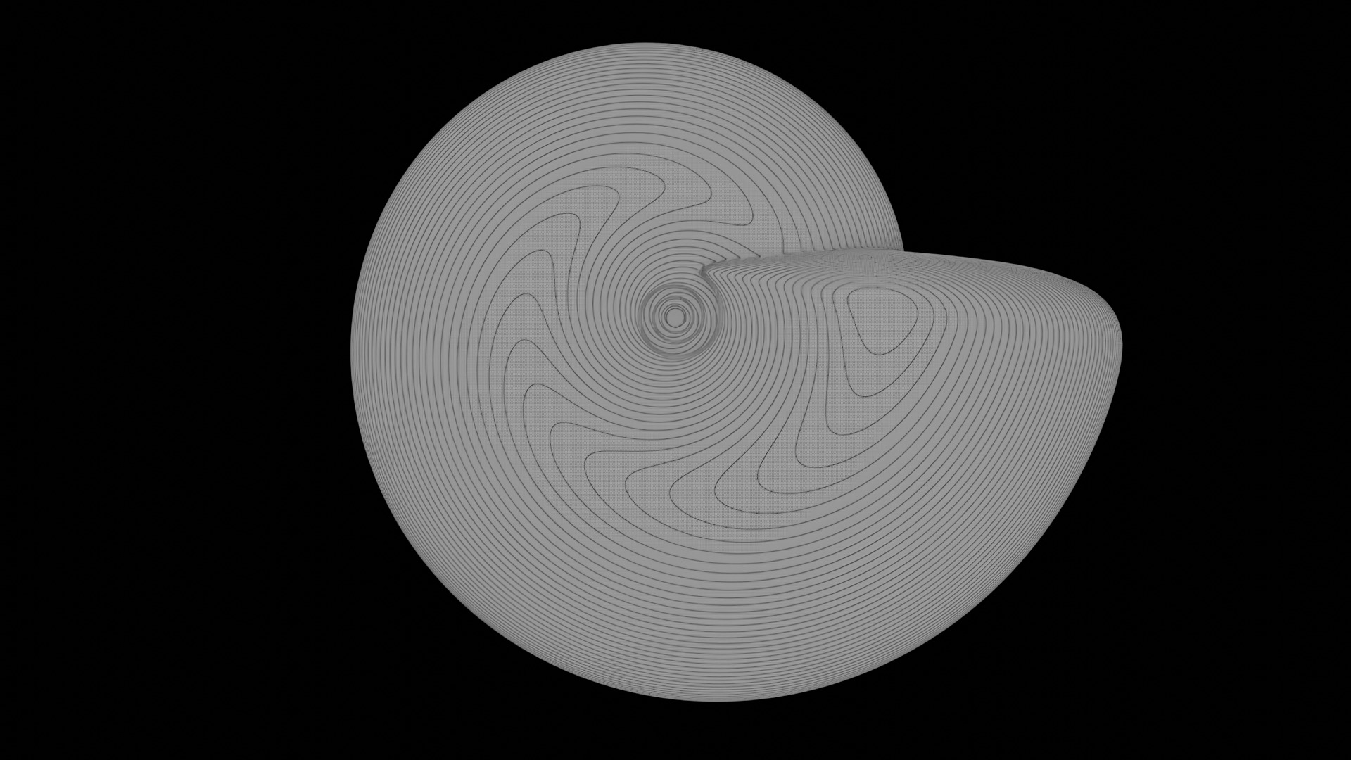 Ammonoid shell involute and compressed Metengonoceras 3D model_6