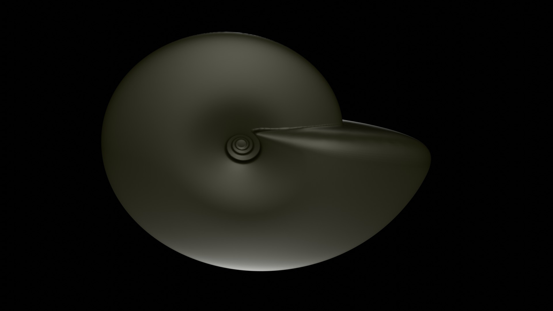 Ammonoid shell involute and compressed Metengonoceras 3D model_3