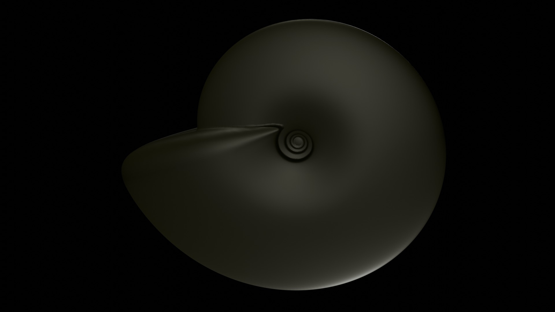 Ammonoid shell involute and compressed Metengonoceras 3D model_4