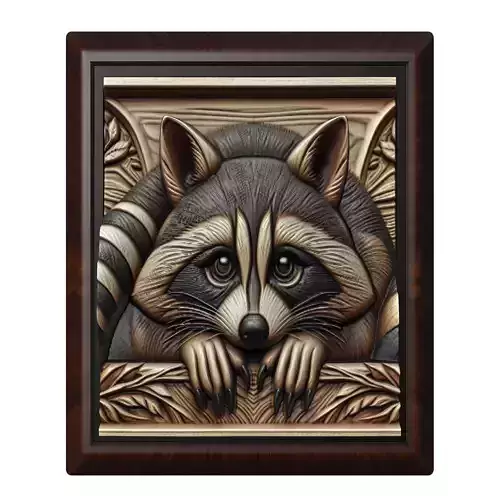 Raccoon Animal