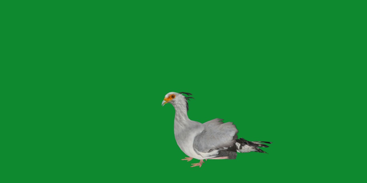Secretary Bird Low-poly 3D model_31