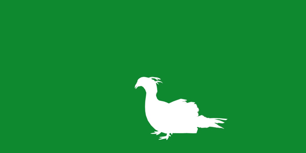 Secretary Bird Low-poly 3D model_6