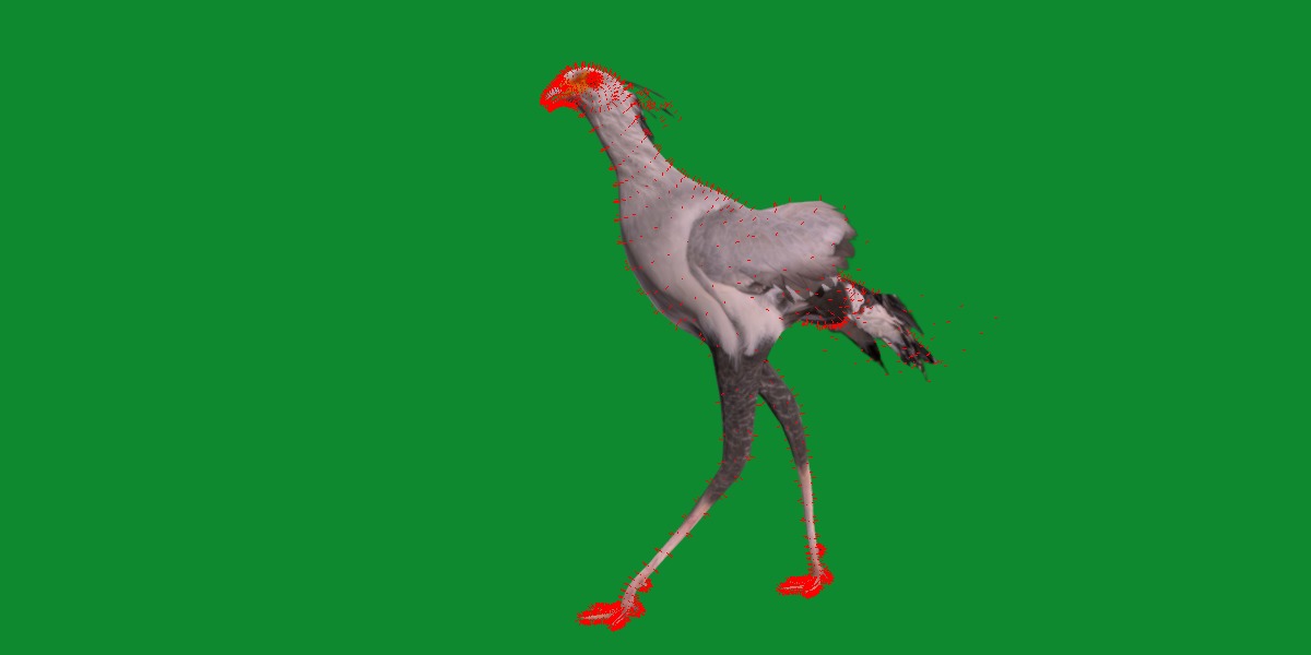 Secretary Bird Low-poly 3D model_18