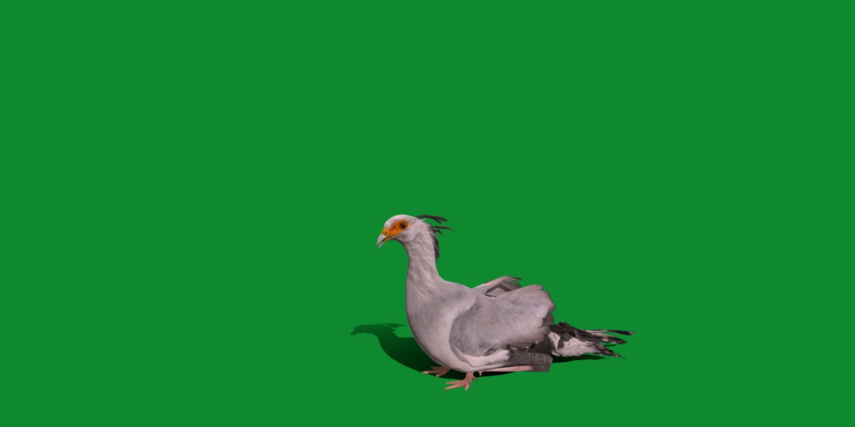 Secretary Bird Low-poly 3D model_32