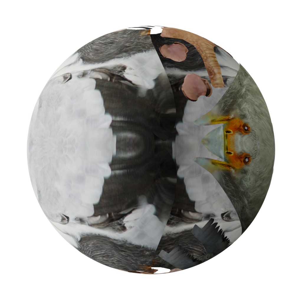 Secretary Bird Low-poly 3D model_38