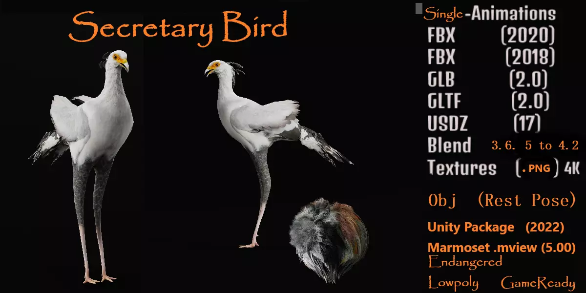 Secretary Bird Low-poly 3D model_0