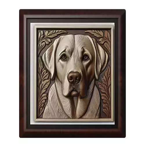 Dog Labrador Retriever Animal