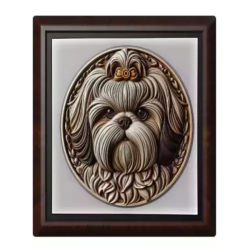 Dog Shih Tzu Animal