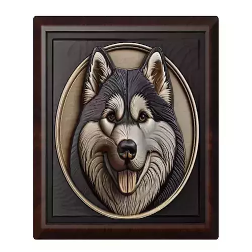 Dog Siberian Husky Animal