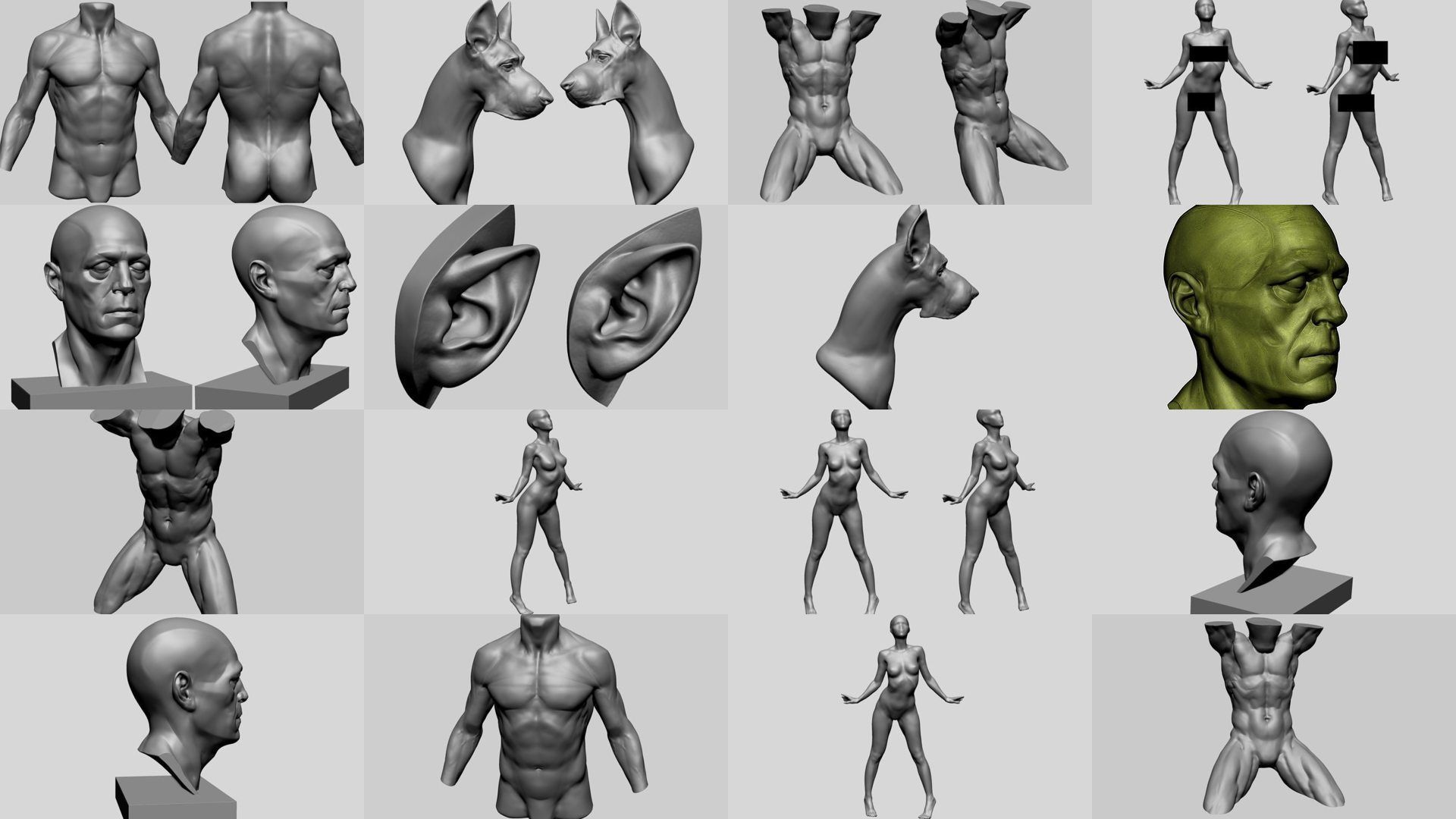 Printable Models 3D Model Collection_3
