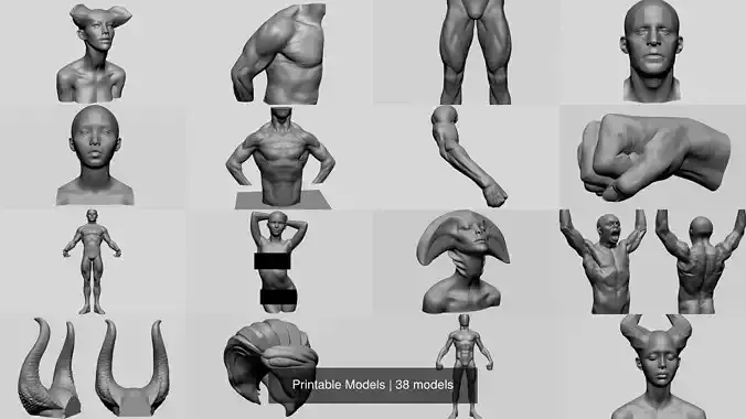 Printable Models 3D Model Collection