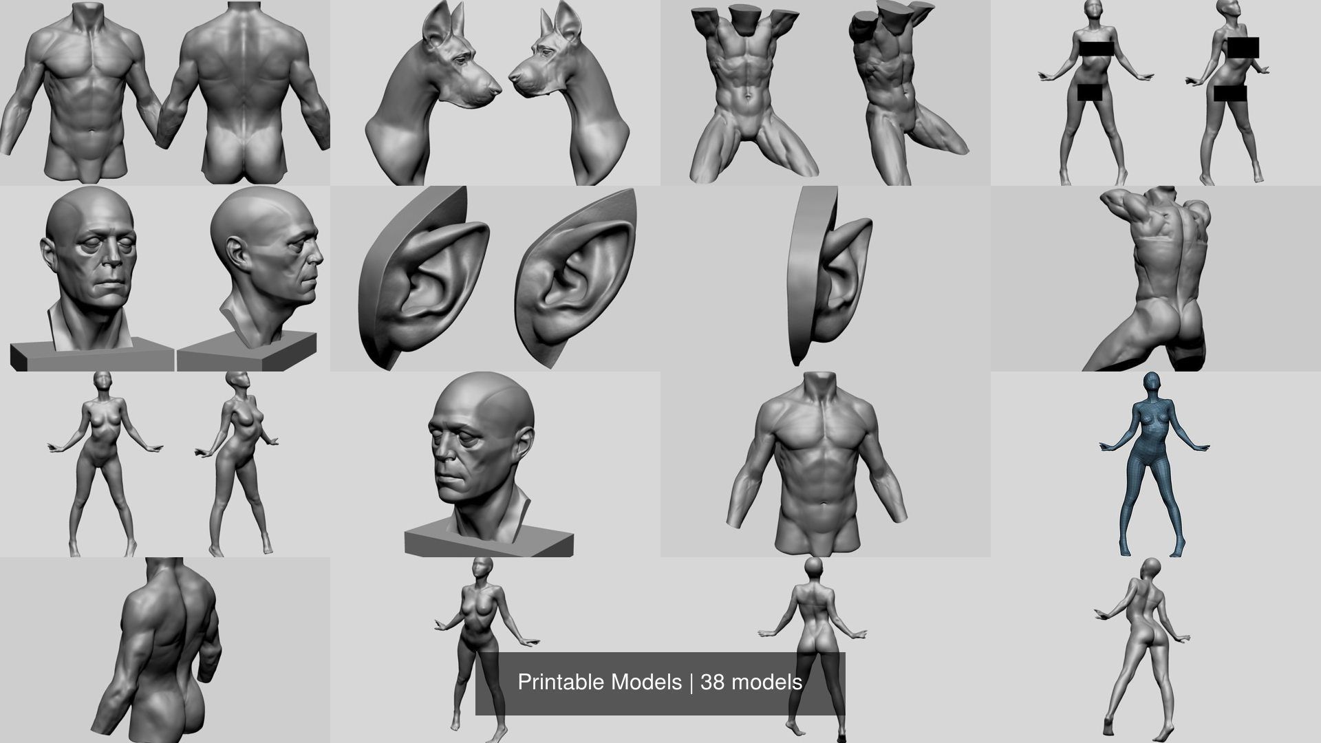 Printable Models 3D Model Collection_4