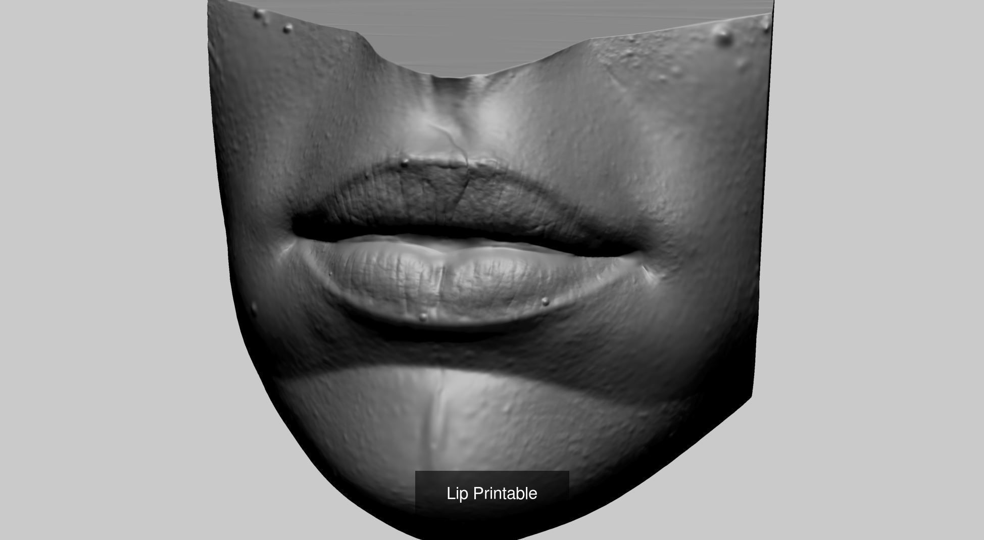 Printable Models 3D Model Collection_29