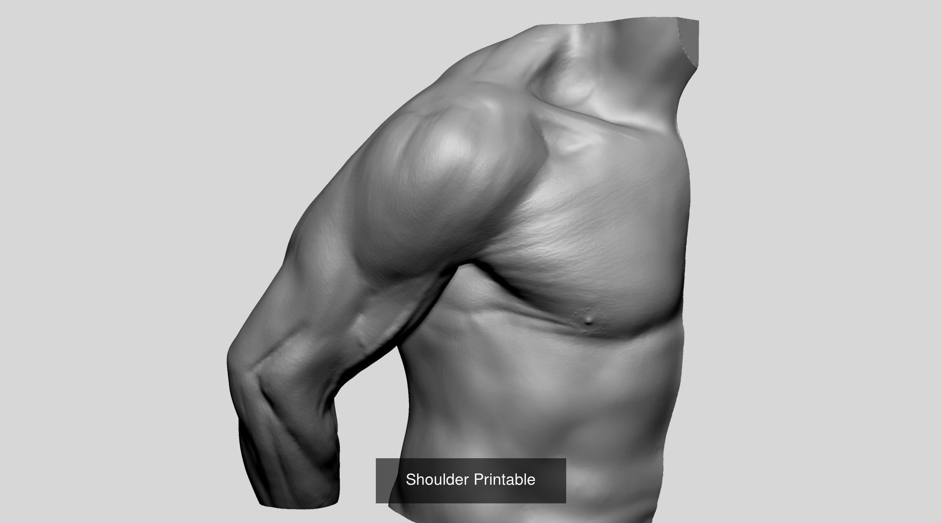 Printable Models 3D Model Collection_6