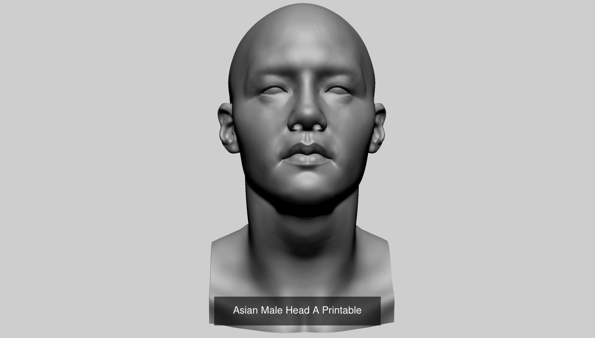 Printable Models 3D Model Collection_22