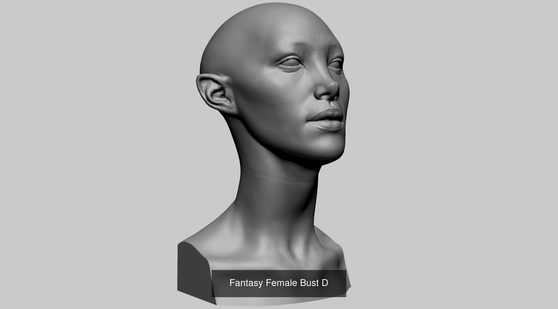 Printable Models 3D Model Collection_25