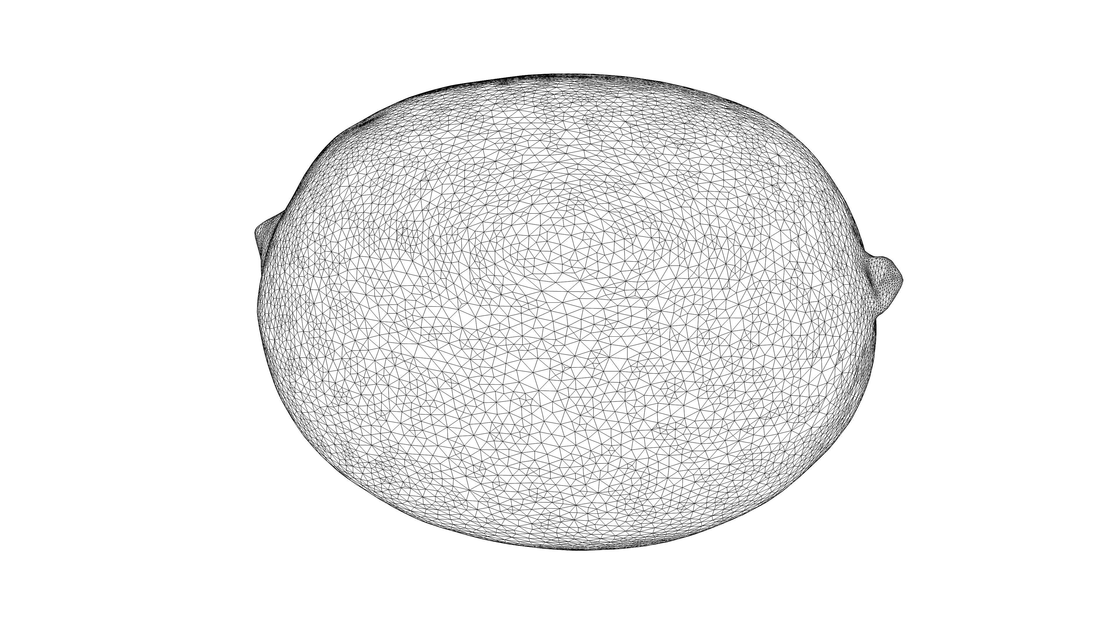 Photorealistic 3D scan of Lemon Low-poly 3D model_20
