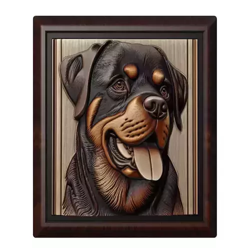 Dog Rottweiler Animal
