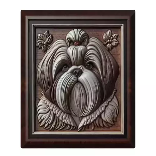 Dog Shih Tzu Animal