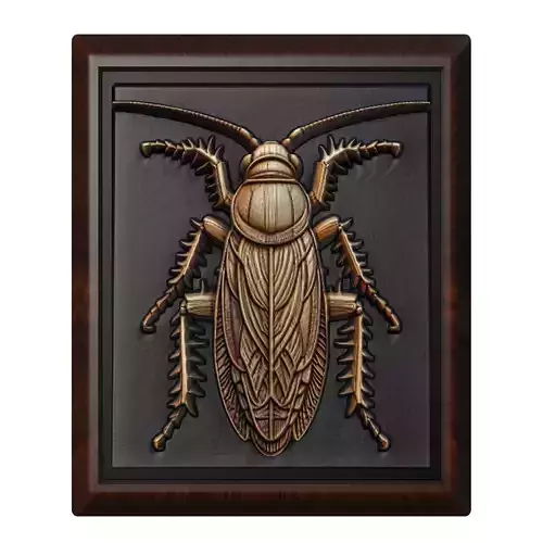 Cockroach Animal