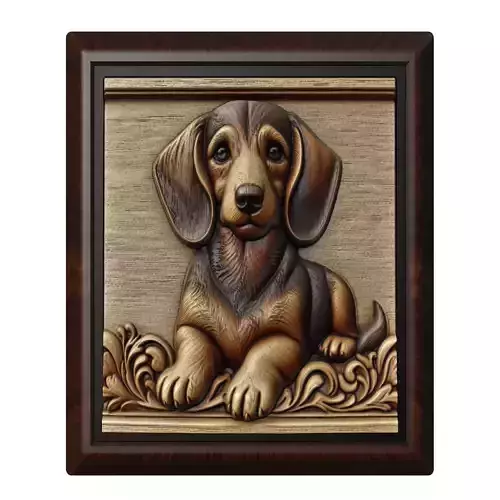 Dog Dachshund Animal