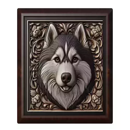 Dog Siberian Husky Animal