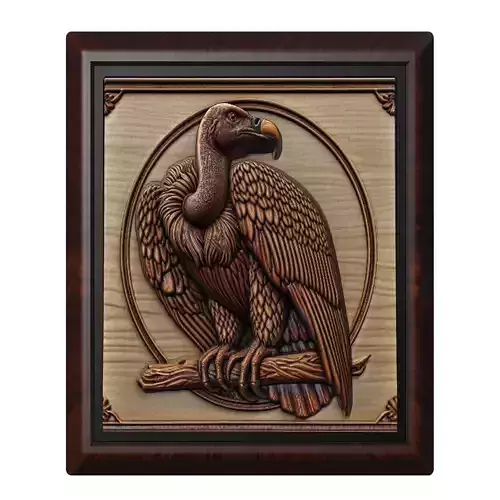 Vulture Animal