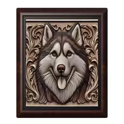 Dog Siberian Husky Animal