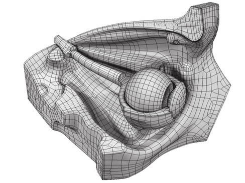 Human Eye 3D model_17