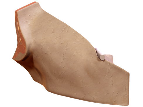 Human Eye 3D model_11