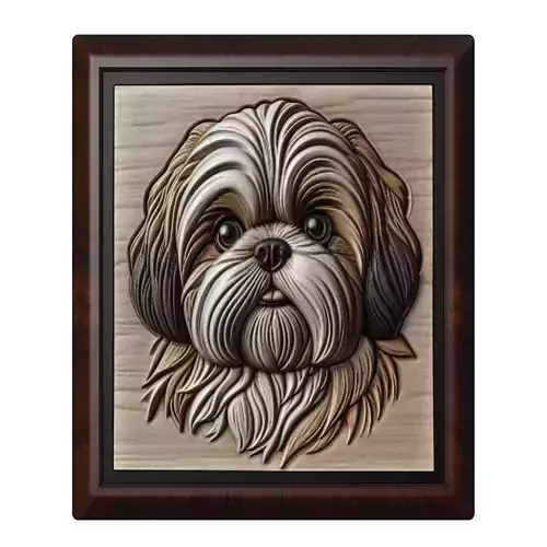 Dog Shih Tzu Animal