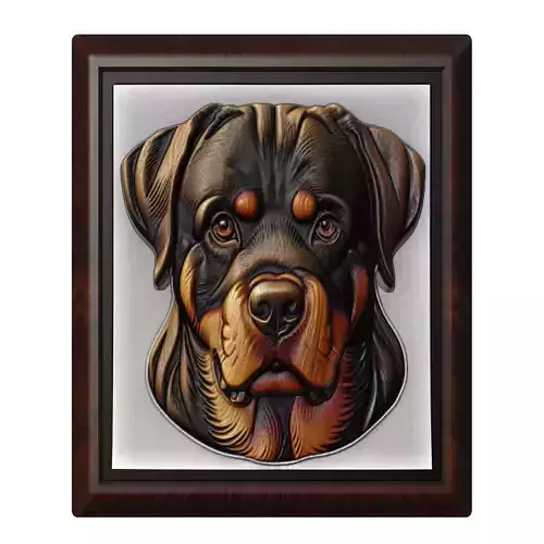 Dog Rottweiler Animal