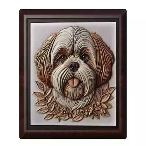Dog Shih Tzu Animal