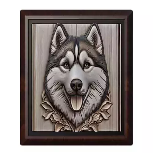 Dog Siberian Husky Animal