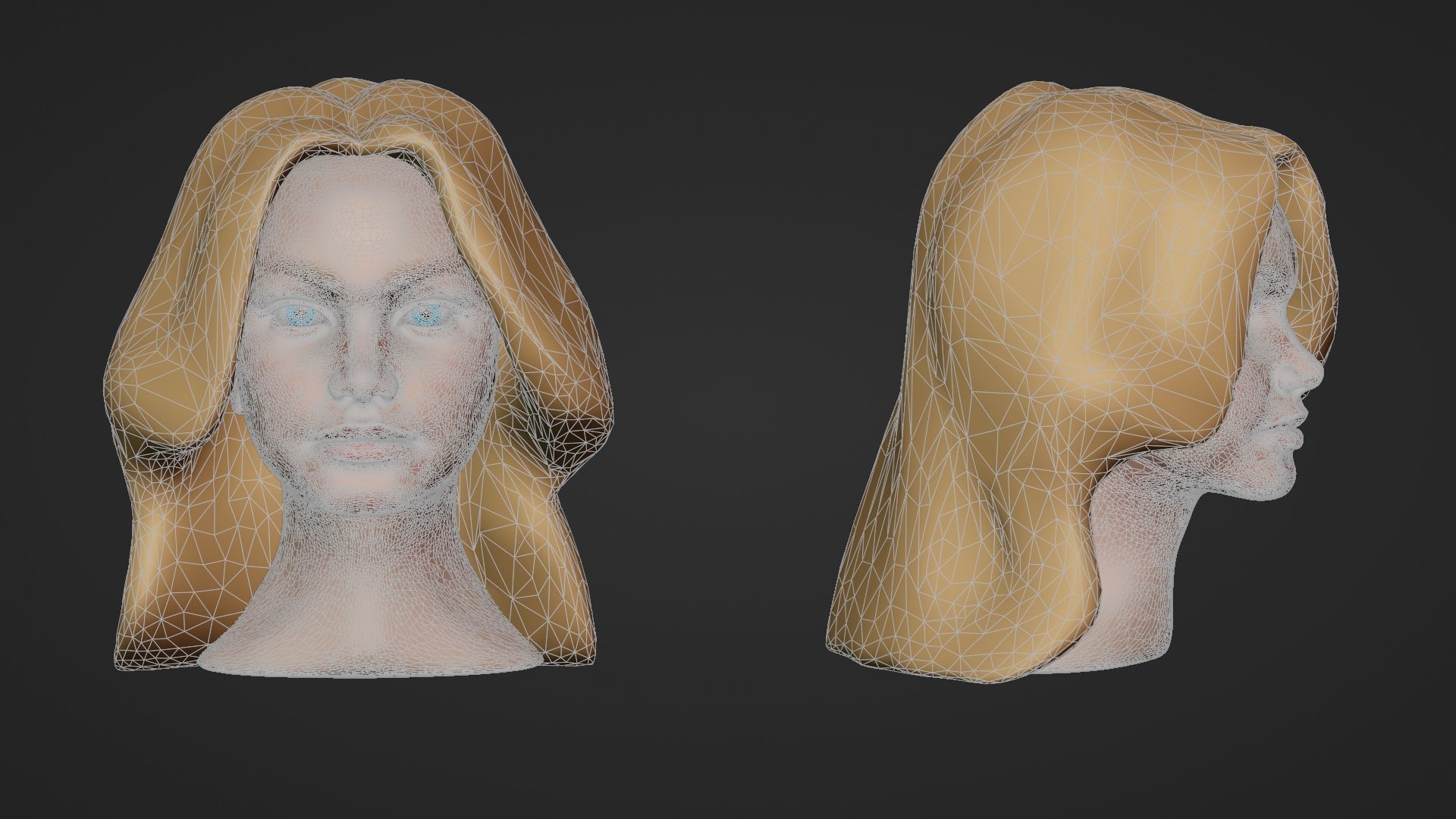 Female Head 3D Sculpt 3D model_10
