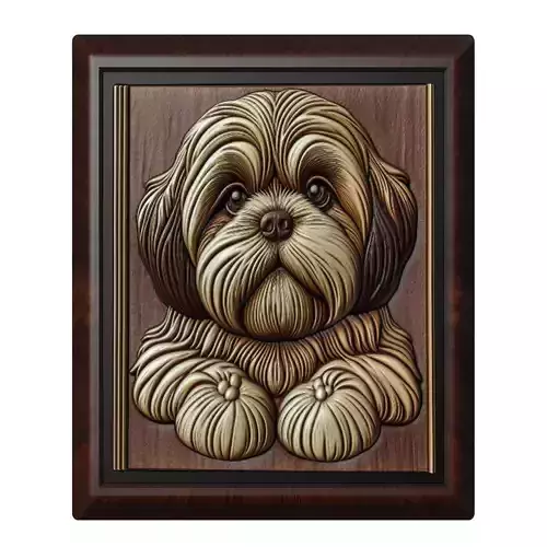 Dog Shih Tzu Animal