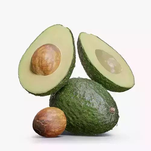 Avocado