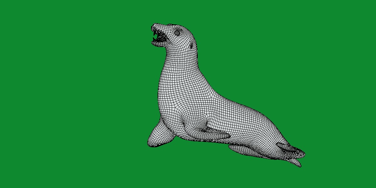 Sea Lion Low-poly 3D model_11