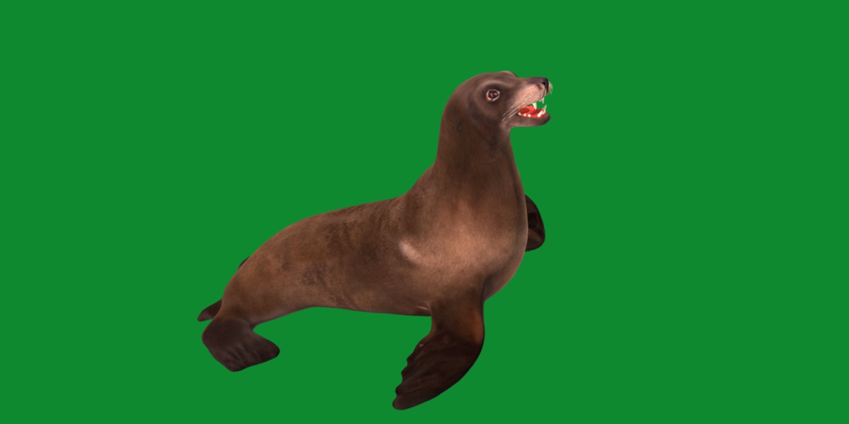 Sea Lion Low-poly 3D model_14