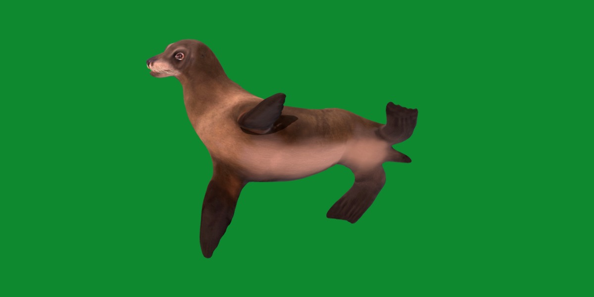 Sea Lion Low-poly 3D model_25